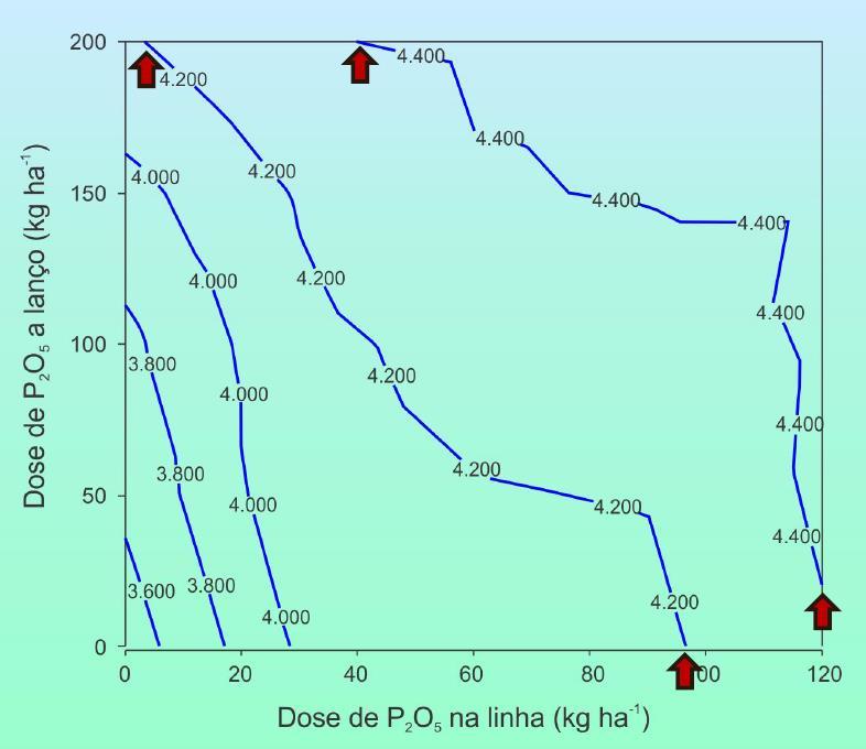 ADUBAÇÃ DAS CULTURAS DE GRÃS: FÓSFR Aplicação de P a lanço versus