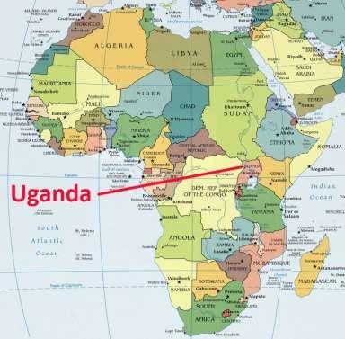 Amarela (YFV) Esse estudo indicava uma grande área de transmissão de YFV que se estendia da costa oeste até Uganda