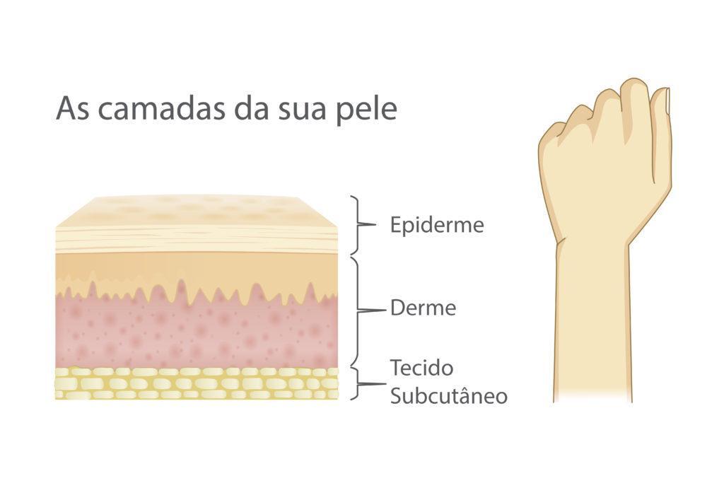 Fonte_ Sociedade Brasileira de Cirurgia Dermatológica, 2017.