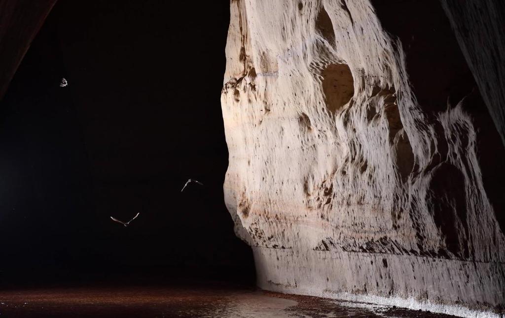 A gruta do Maroaga não pode ser visitada integralmente, sendo permitida a entrada até cerca de 150m adentro da mesma, além de estar vetada a entrada sem os devidos equipamentos para distâncias
