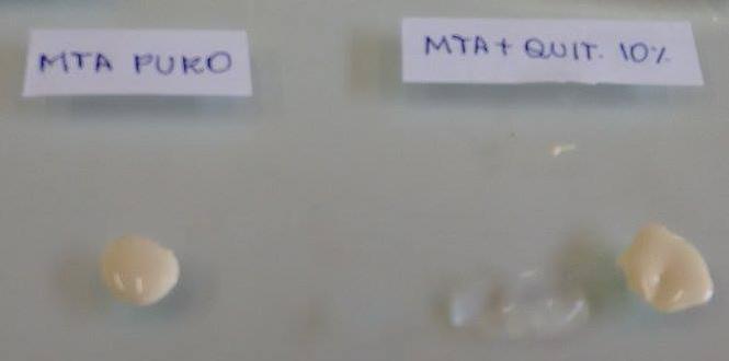 19 FIGURA 3 - Proporção Cimento-Quitosana (9:1) para ambos os testes. Fonte: Elaborada pela autora.