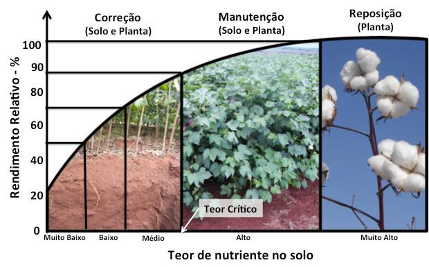 2 Adubação do Algodoeiro no Ambiente de Cerrado De modo geral, o algodoeiro é uma das culturas que apresenta a mais baixa eficiência no uso de fertilizantes, sendo que o desfrute de nitrogênio é 44%,