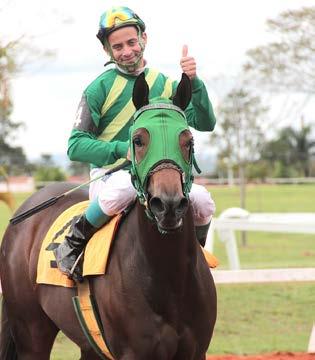 (Hamon Ribeiro Ibiapino) e criação do HARAS VISTA VERDE.