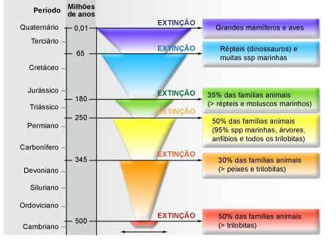 2). É parte da evolução biológica a formação de novas espécies (especiação) bem como o desaparecimento de outras (extinção), que se tornam menos aptas às mudanças ambientais.