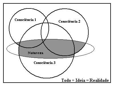 consciências usam para compreender a Realidade física: assim, entidades materiais são apenas um dos tipos das entidades ideais.