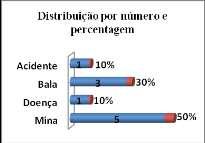 Realizações Ao longo do ano e de acordo com a informação disponível, muito foi feito no que diz respeito a área, porém, muito mais poderia ser relatado se todos os parceiros fornecessem os