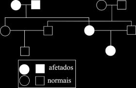 Analise-o e responda às questões a seguir.