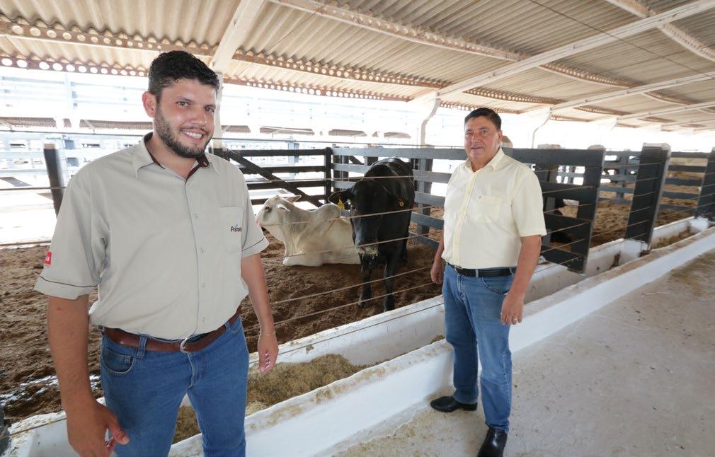 Gado de Corte - Umuarama O profissionalismo no gado de corte Cooperado Milton Gaiari e assistência comercial da Primato A pecuária é uma das grandes atividades desenvolvidas dentro do agronegócio