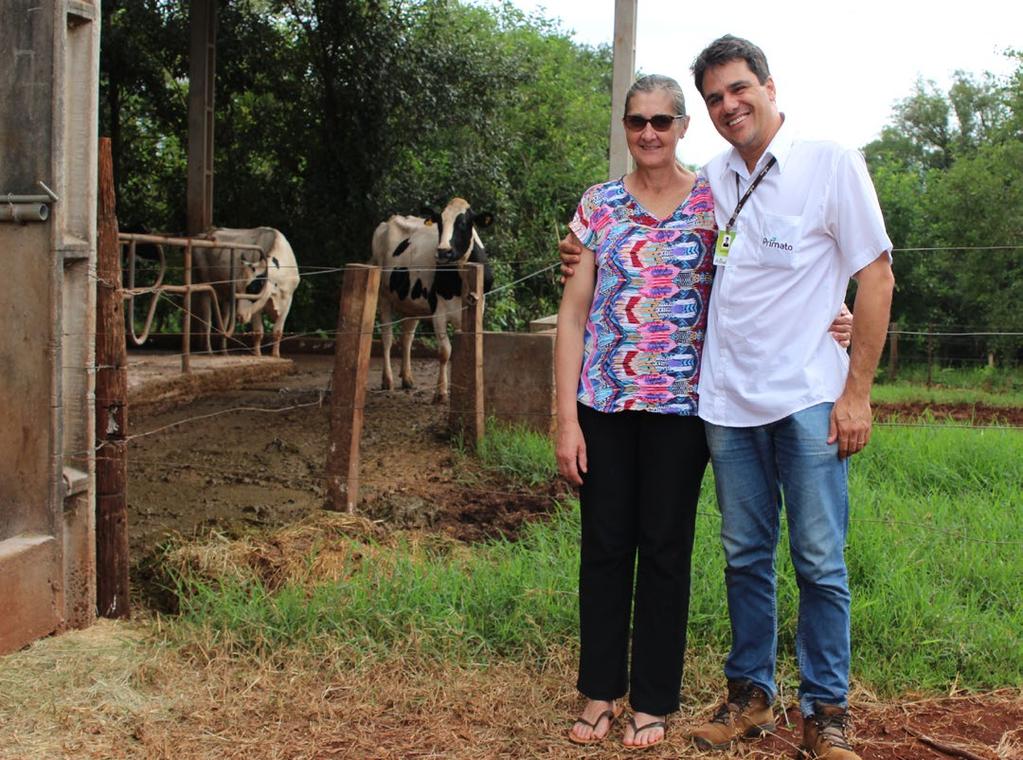 Leite - Cascavel Dedicação à atividade leiteira O estado do Paraná se consolida cada vez mais como um grande produtor de grãos, se destacando também nas cadeias produtivas de leite,