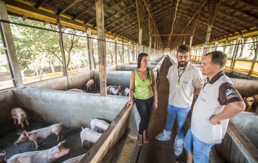 como fundamental neste processo, enalteceu Dirceu que ainda comentou, como estamos desde 2008, notamos que a ração evoluiu desde o início, a genética dos animais também, então creio que seja uma das