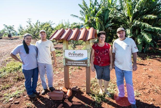 Suíno - Toledo o potencial da suinocultura em família Cooperado Ignácio Nuernberg e família Desenvolver a suinocultura para pequenos e médios produtores na região oeste do Paraná é contar com o