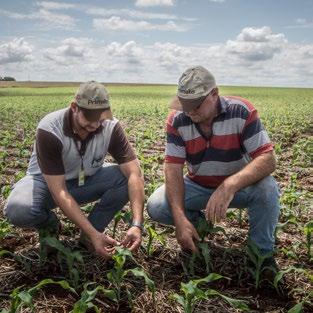 Expediente A Revista Primato é uma publicação trimestral desenvolvida pelo departamento de marketing e assessoria de comunicação da Primato Cooperativa Agroindustrial.