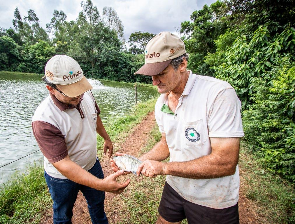 da a respeito da assistência técnica recebida pela cooperativa.