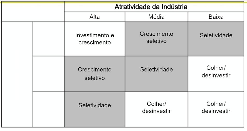 Estratégias: Desinvestiment parte inferir direita Api parte superir esquerda Menr api parte mediana 4) MATRIZ DE PARENTESCO Cnsiderar as cmpetências rganizacinais Análise em duas dimensões: 1)