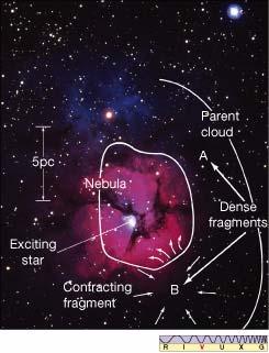 nebulosa M20 EVIDÊNCIAS DE CONTRAÇÕES DE NUVENS Evidências de 3 fases de formação: