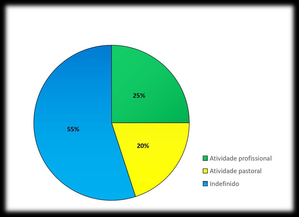 - 25 % do total declararam de ter uma atividade profissional, se bem que a interpretação do conceito de atividade profissional é diferente nos diversos Países.