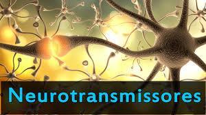 EFEITOS DO ÁLCOOL SOBRE OS NEUROTRANSMISSORES O sistema nervoso é constituído de estruturas e órgãos relacionados entre si desempenhando a função nervosa.