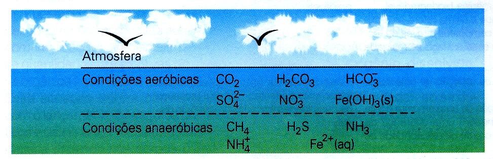 O 2 (g) O 2 (aq) solubilidade de gases em água pode ser descrita pela lei de Henry solubilidade de um gás em um líquido é proporcional a pressão parcial do gás em