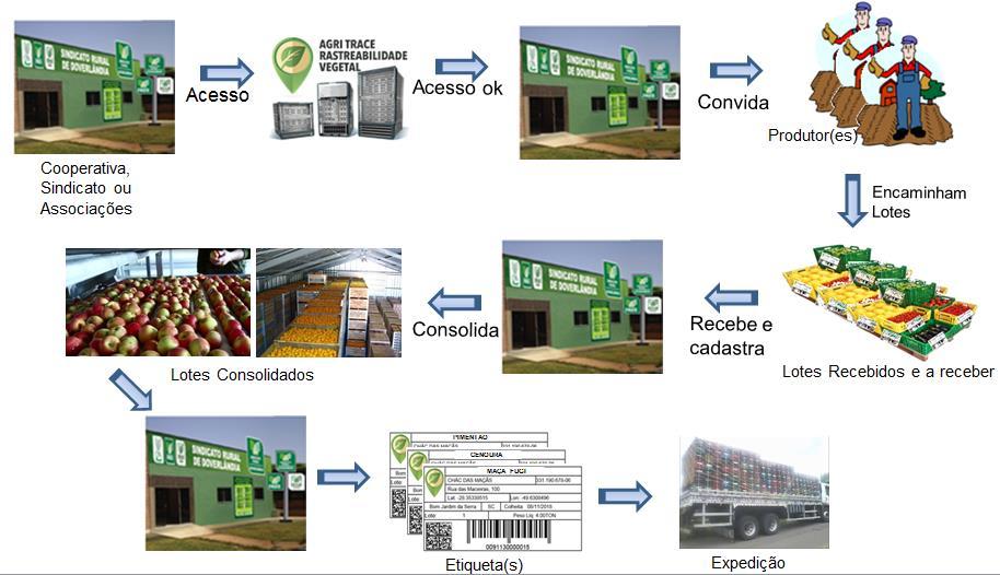 6.2 Processo de cadastramento Conforme apresentado na imagem abaixo, estes são os passos