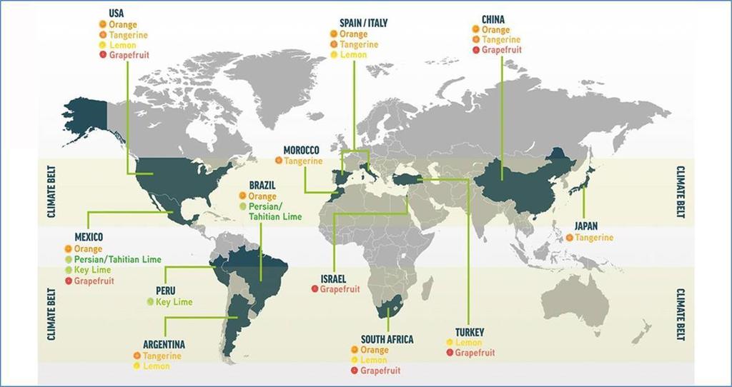 Produção Mundial de Citros Fonte: