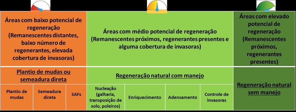 TESES E DISSERTAÇÕES 2008-2018 Plantio de mudas Semeadura direta SAFs Regeneração natural com manejo Nucleação (núcleos de diversidade, plantas