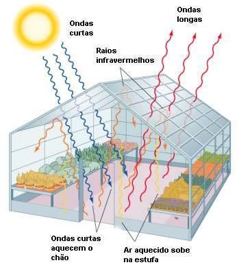 - A estufa de plantas é feita de vidro, que é transparente à energia radiante do Sol e opaco às ondas de calor