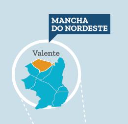 CARACTERÍSTICAS MAIS IMPORTANTES CONCEPÇÃO DE ECONÔMICO DE COOPERAÇÃO E SOLIDARIEDADE ESTÍMULO AO ASSOCIATIVISMO E PARTICIPAÇÃO POLÍTICA GERAÇÃO DE LIDERANÇAS LOCAIS PARA O COOPERATIVISMO