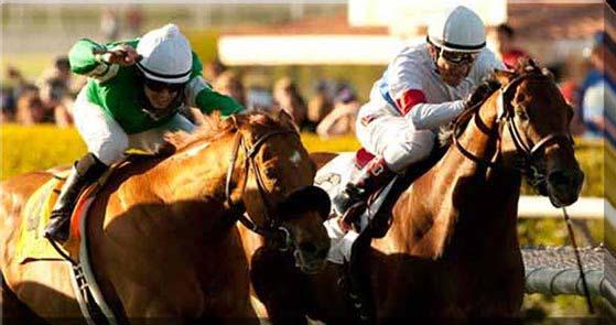 Isso porque a reprodutora será a primeira representante brasileira na escolha da Broodmare of The Year, premiação esta que acontecerá nos Estados Unidos, ainda em 2012.