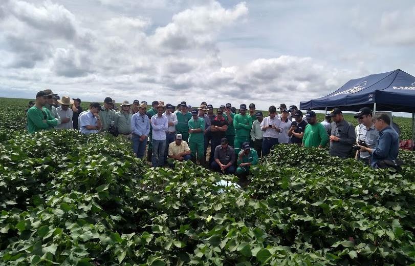 No dia 28 de março foi realizado em Chapadão do Sul o 16ª Circuito Tecnológico do Algodão que aconteceu na Fazenda Pantanal do grupo SLC Agrícola com tema A importância da construção do perfil do