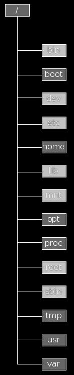 /opt Instalação de software /tmp Ficheiros