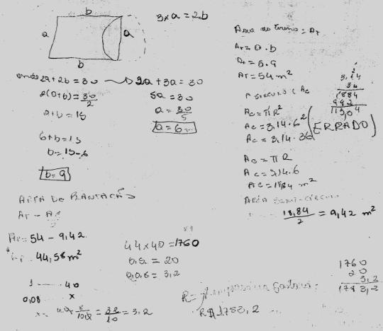 pois resolveu corretamente multiplicações com o número 44,56 separando a representação inteira da decimal.