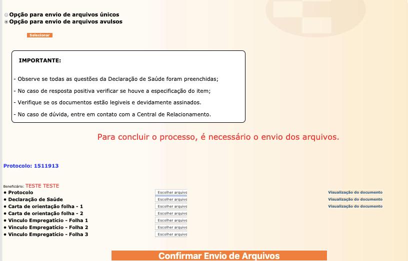 15 ENVIO DE DOCUMENTOS 3 Confira atentamente se os arquivos estão corretos antes de efetuar o envio.