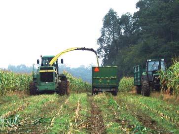 Guia de Agricultura de Conservação para o funcionamento das alfaias ou semeadores: se utilizar sistemas de mobilização reduzida, corte a cultura de cobertura e destroce as palhas; com os sistemas de