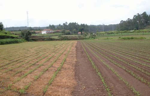 INTRODUÇÃO Culturas Anuais Deixar aos nossos herdeiros uma terra melhor do que a terra que herdámos A agricultura de conservação é um conjunto de práticas de maneio do solo agrícola que visa diminuir