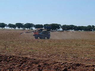 Guia de Agricultura de Conservação Mobilização na Zona Nestes sistemas, a mobilização do solo é feita em faixas de largura variável, realizando-se a sementeira no seu interior.