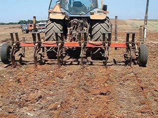 Esta mobilização do solo em faixas pode ser realizada simultâneamente com a sementeira.