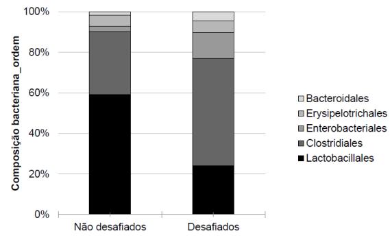 observou-se uma maior diversificação das famílias em relação aos não desafiados, reduzindo Lactobacillaceae (21%) e