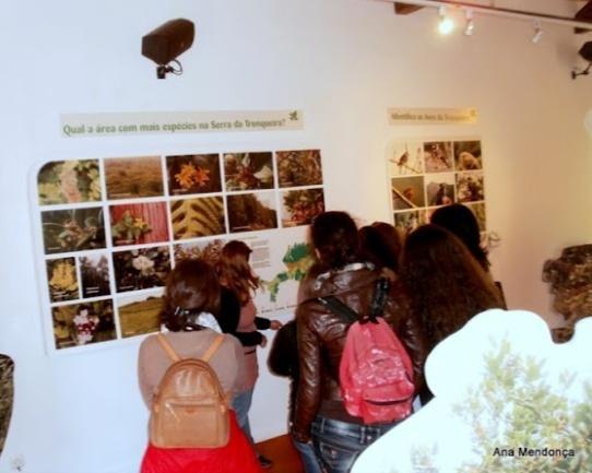 espécie e do seu habitat. Além da exposição, poderão ser realizadas atividades complementares.