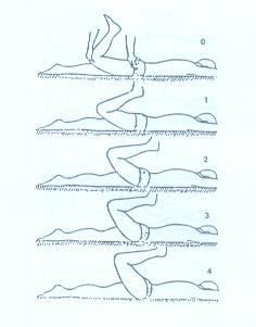 quadril em decúbito dorsal.