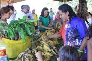 reduzir a dependência de insumos externos, de promover a oferta de produtos diversificados ao longo do tempo, a partir de escolhas dos produtores interagindo com os consumidores, eles se