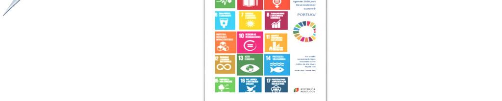 voluntários Agenda 2030