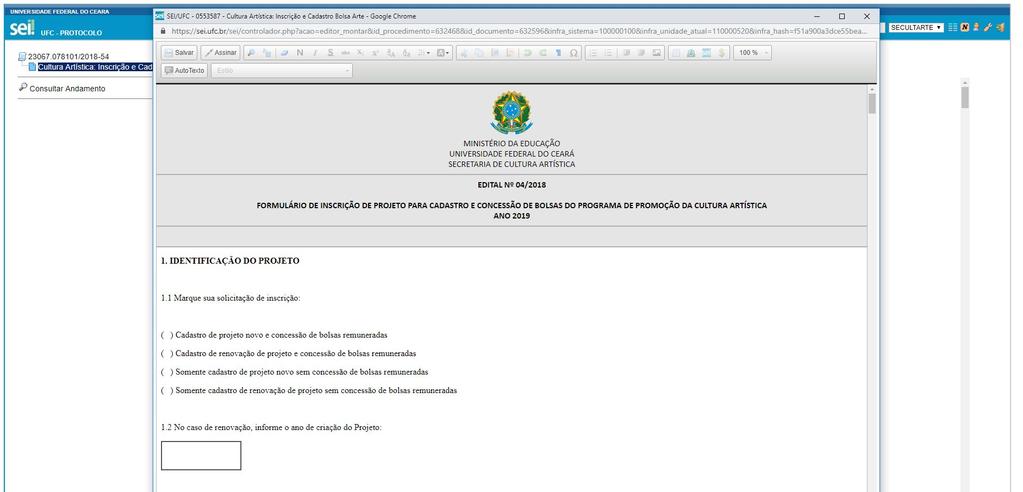 12 ) Ao gerar o formulário, deve-se preencher cada item com as informações detalhadas do projeto, de