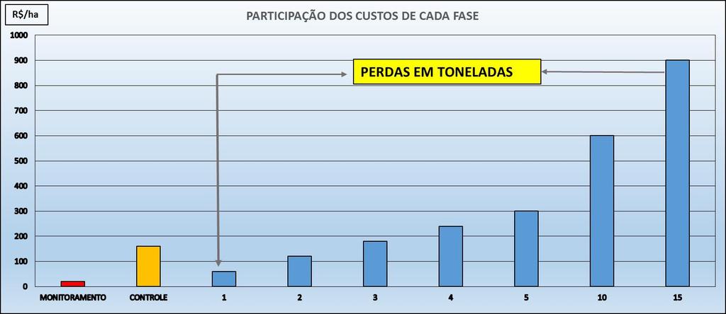 IMPORTÂNCIA