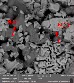 Podemos ver que a fase de oxido de níquel está distribuída de maneira a ocorrer a percolação desta fase na matriz de BZCY (Fig. 9).