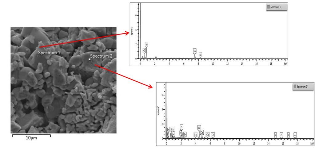 Fig.11. Micrografias da amostra polida observada com elétrons retroespalhados. Fig.12. Composição da amostra BCZY NiO, espectro 1. Fig.13. Composição da amostra BCZY NiO, espectro 2.