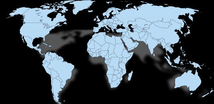 Bases Normativas Internacionais para Válvulas de Segurança e Alívio País Aprovação Europa PED / DIN EN ISO 4126-1 Alemanha PED / AD