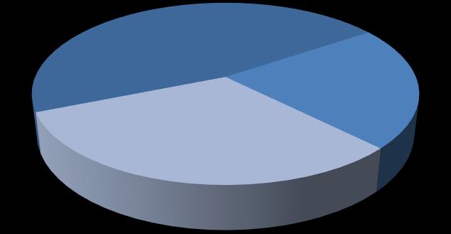 1T18 Máquinas Romi 47% Máquinas Burkhardt + Weber 22% 1T19 Máquinas Romi 57% Máquinas Burkhardt + Weber 15% Fundidos e