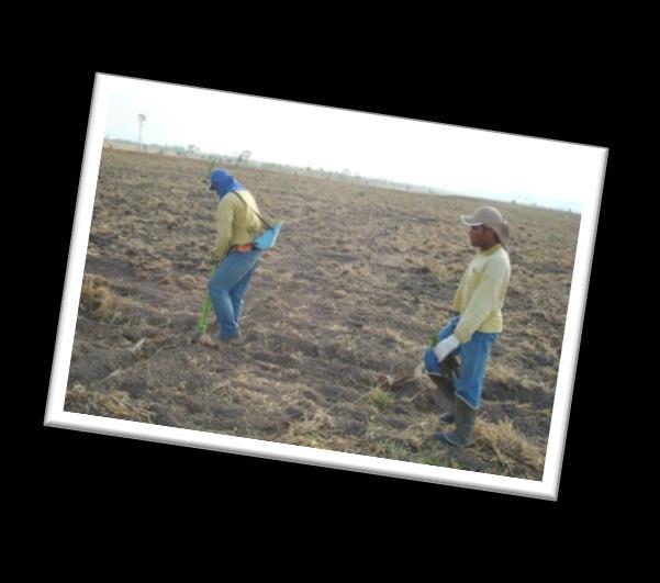 RESUMO PÚBLICO PLANO DE MANEJO FLORESTAL2019 4 Preparo de Área Para Plantio As atividades de preparo do solo visam tornar as condições físicas do solo adequadas para o plantio, estabelecimento das