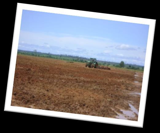 No meio florestal é bastante difundido a adoção de basicamente dois sistemas: o convencional e o cultivo mínimo. 4 x 4 metros.