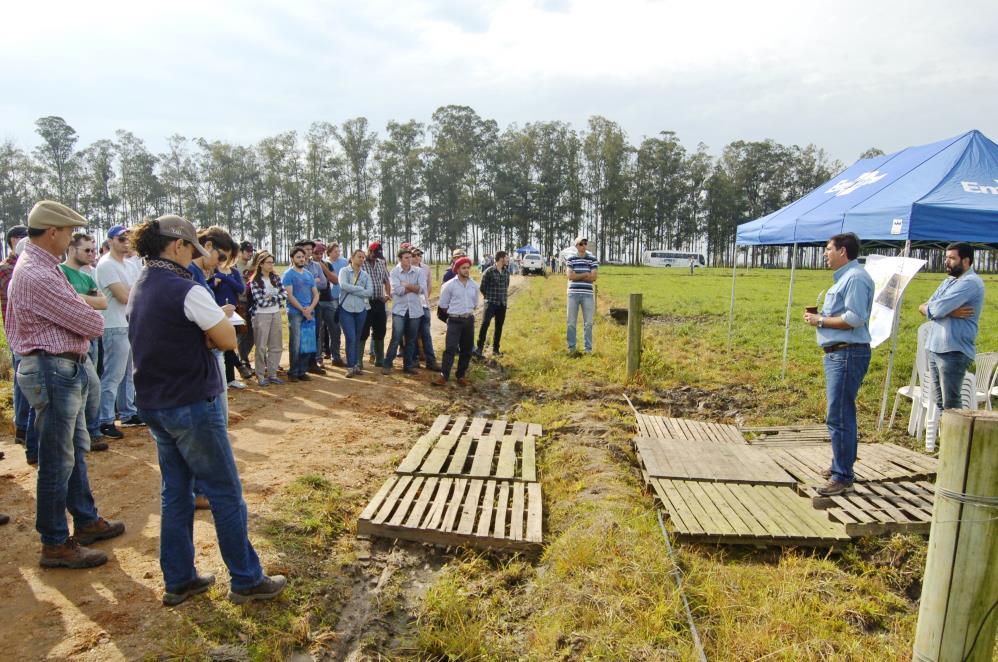 Estação 3 (20 minutos): O animal como catalizador de processos em Sistemas Integrados de produção Agropecuária (Paulo Cesar de Faccio Carvalho UFRGS) (Figura